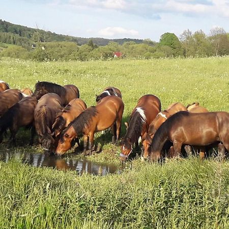 Hotel Przy Winogronie Uherce Mineralne Zewnętrze zdjęcie