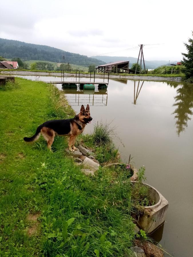 Hotel Przy Winogronie Uherce Mineralne Zewnętrze zdjęcie